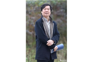 蔡智